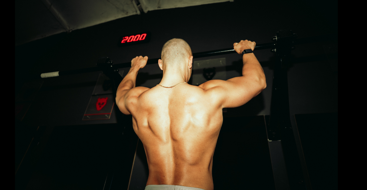 Creatin Vorteile für Muskelaufbau & Fitness