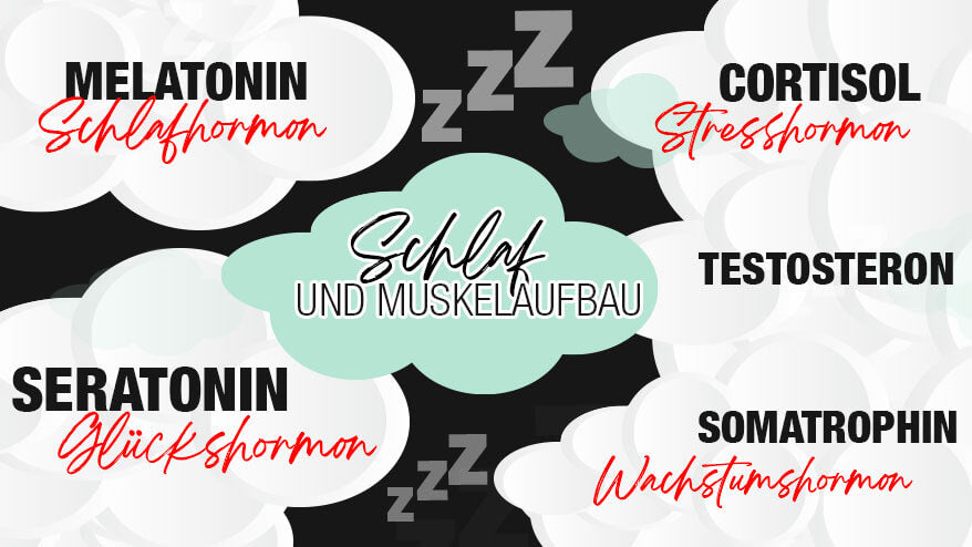 "Schlaf, Sportler, Schlaf" - Wie beeinflussen Hormone im Schlaf deinen Muskelaufbau