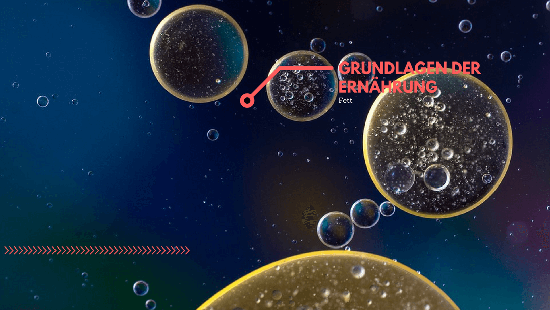 Grundlagen der Ernährung - Teil 3 - Fett
