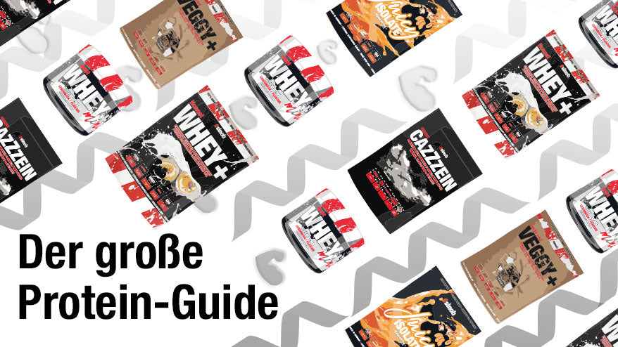Der große Protein-Guide - oder der Stoff aus dem die Muskeln gemacht werden